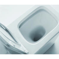 YS22251P 2 parçalı Çerçevesiz seramik tuvalet, P-tuzaklı sifonlu tuvalet;