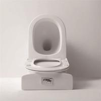 YS22268P 2 parçalı Çerçevesiz seramik tuvalet, P-tuzaklı sifonlu tuvalet;